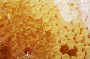 26622931 - raw manuka honey cluster. manuka honeycomb closeup.
